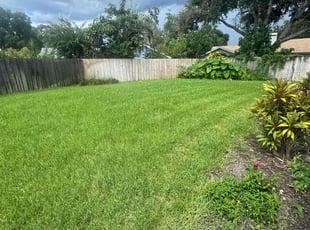 Elizabeth T.'s lawn care service result