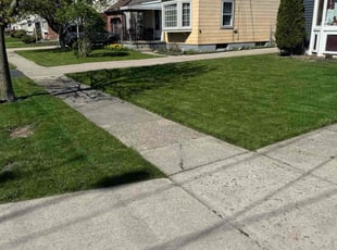 Carmen R.'s turf care service result