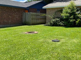 Diane D.'s lawn maintenance service result