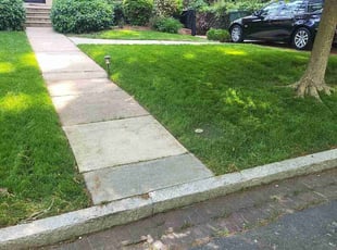 Michelle R.'s grass maintenance service result