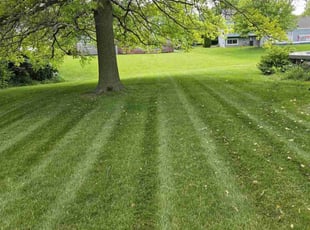 Scott L.'s lawn service service result