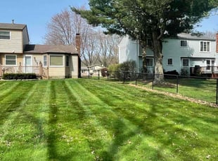 Dahlia F.'s grass cutting service result