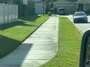 Jason H.'s turf care service result