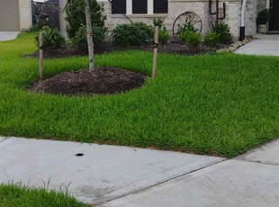 Calvin S.'s turf maintenance service result