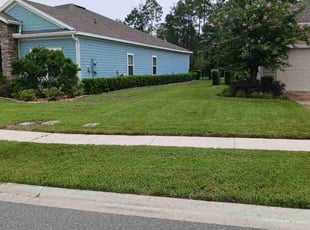 Vincent W.'s lawn care service result