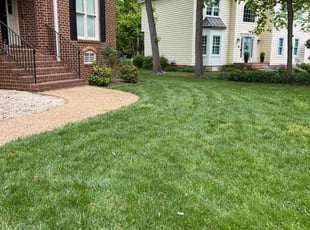 Tony C.'s lawn maintenance service result