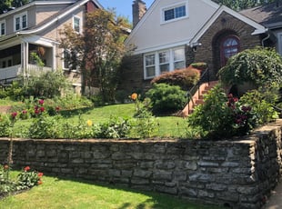 Emmanuel J.'s turf care service result
