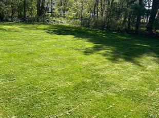 Gerilyn C.'s yard care service result
