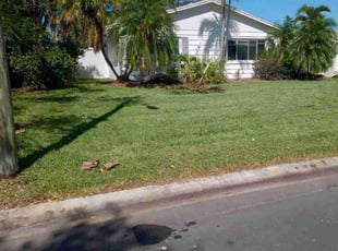 Debra M.'s grass cutting service result