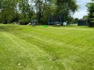 Jill J.'s grass maintenance service result