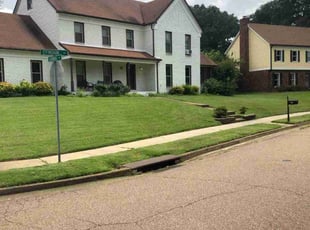 Jan A.'s lawn care service result