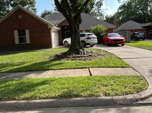 Lynn S.'s turf care service result