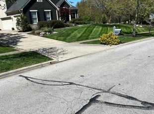 Richard Z.'s landscape maintenance service result