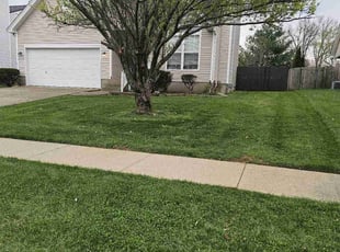 Robert H.'s grass cutting service result