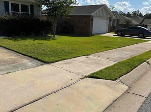 Robyn W.'s turf care service result