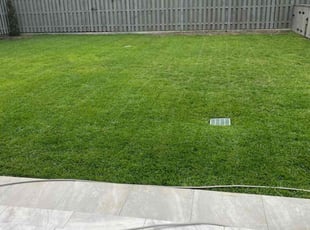Bryan M.'s lawn care services service result