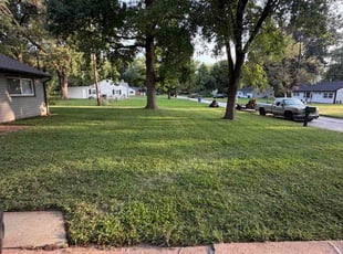 Tameka T.'s turf maintenance service result