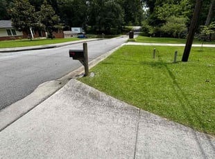 Melissa E.'s grass cutting service result