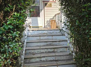 Taletha S.'s lawn service service result