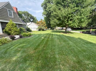 Cynthia G.'s grass cutting service result