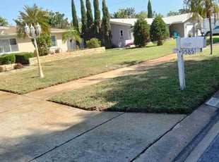heather w.'s lawn care services service result