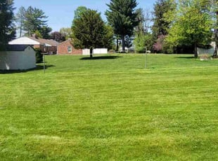 Stacie F.'s lawn care service result