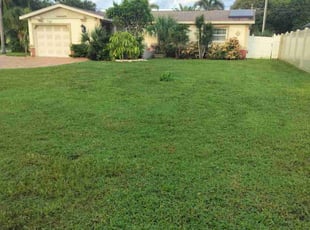 Dawn C.'s grass cutting service result