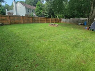 Bright P.'s grass cutting service result