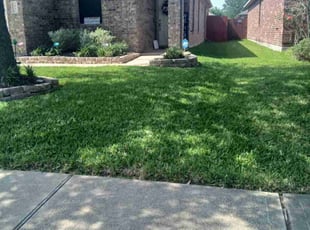 Spencer B.'s grass cutting service result