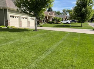 Gary J.'s grass maintenance service result