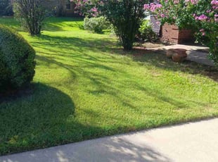 Velda C.'s lawn maintenance service result