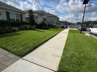 John T.'s lawn service service result