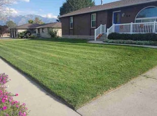 Wendy R.'s lawn care service result