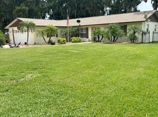 Tyric M.'s turf care service result