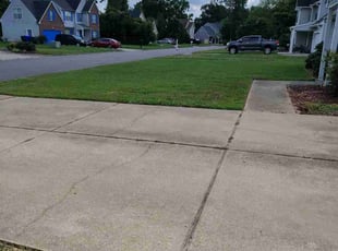 Donna C.'s turf care service result