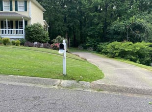 Steven H.'s grass maintenance service result