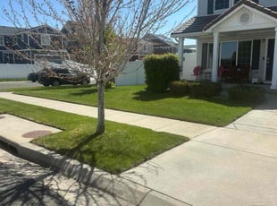 Cory J.'s lawn care services service result