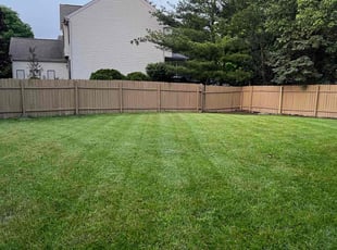 Sunyung S.'s turf care service result