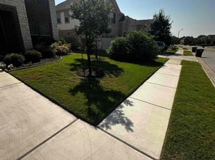 James H.'s lawn service service result