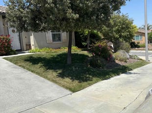 Sylvia T.'s turf maintenance service result