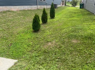 Chris H.'s lawn care service result