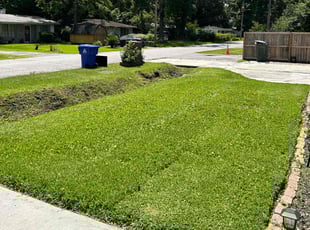 Richard S.'s lawn maintenance service result