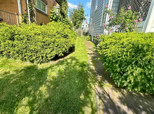 Ken F.'s lawn maintenance service result