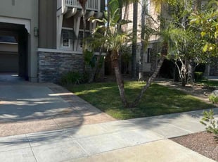 Sylvia H.'s Other service result