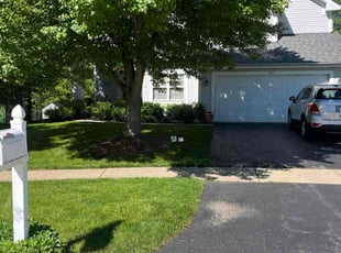 Chelsea M.'s lawn care service result