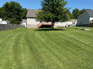 Andrew M.'s turf care service result