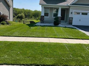 Safia Q.'s lawn maintenance service result