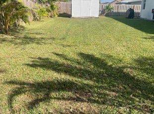 Madeline M.'s lawn care services service result