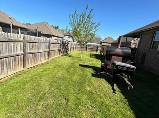 Carolyn D.'s grass maintenance service result