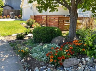 Tanya W.'s Bush Trimming service result